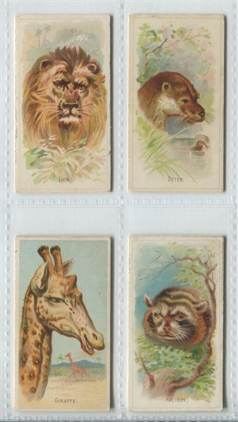 N25 Allen & Ginter Wild Animals Lot of (24) Cards