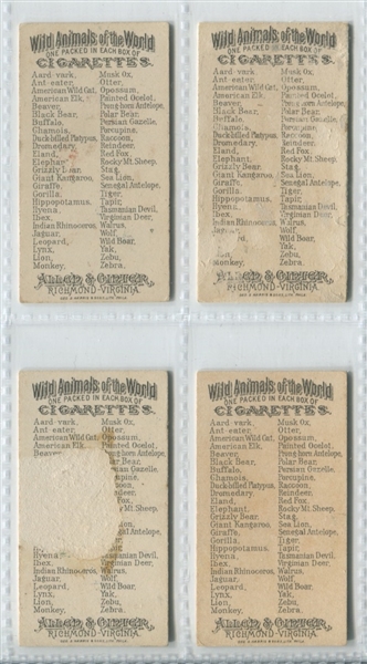 N25 Allen & Ginter Wild Animals Lot of (24) Cards