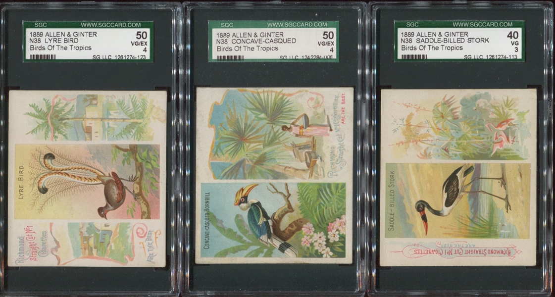 Lot of (6) N38 Allen & Ginter Birds of the Tropics Cards