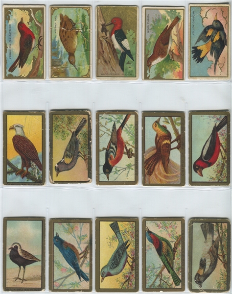 T42 Birds Mixed Back Complete set of (100) Cards