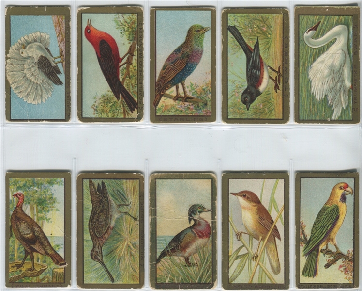 T42 Birds Mixed Back Complete set of (100) Cards