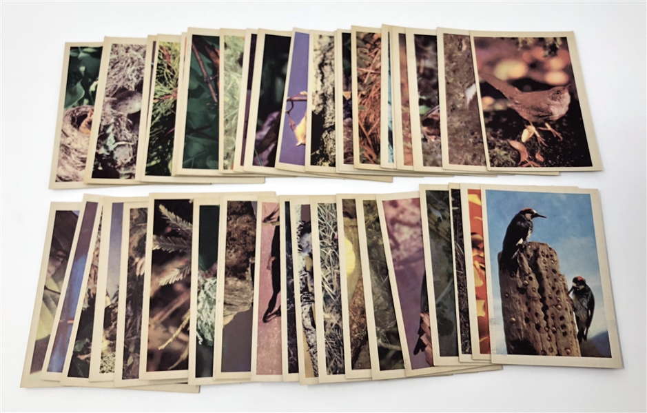 1957 R724-2 Oak Mfg Premiere Trading Cards “Birds” Complete Set of (42) Cards