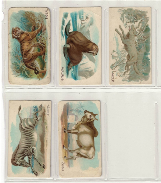 E28 Philadelphia Caramel Complete set of (50) Animal Cards