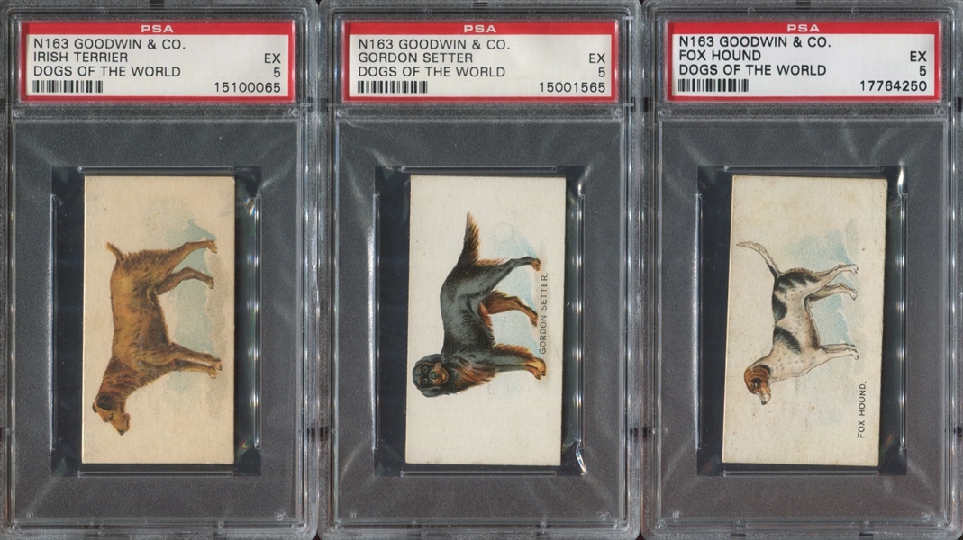 N163 Goodwin Tobacco Dogs Lot of (6) PSA-Graded Cards