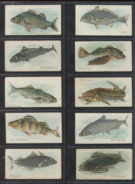 T407A American Tobacco Cards Fish From American Waters Lot of (10) Cards