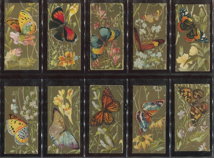 N217-2 Kinney Butterflies Gold Background Complete Set of (50) Cards