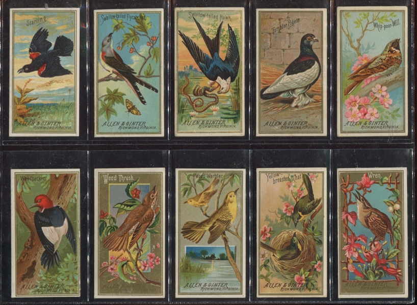 N4 Allen & Ginter Birds of America Complete Set of (50) Cards