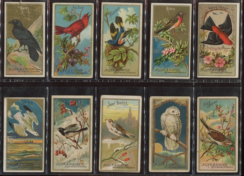 N4 Allen & Ginter Birds of America Complete Set of (50) Cards