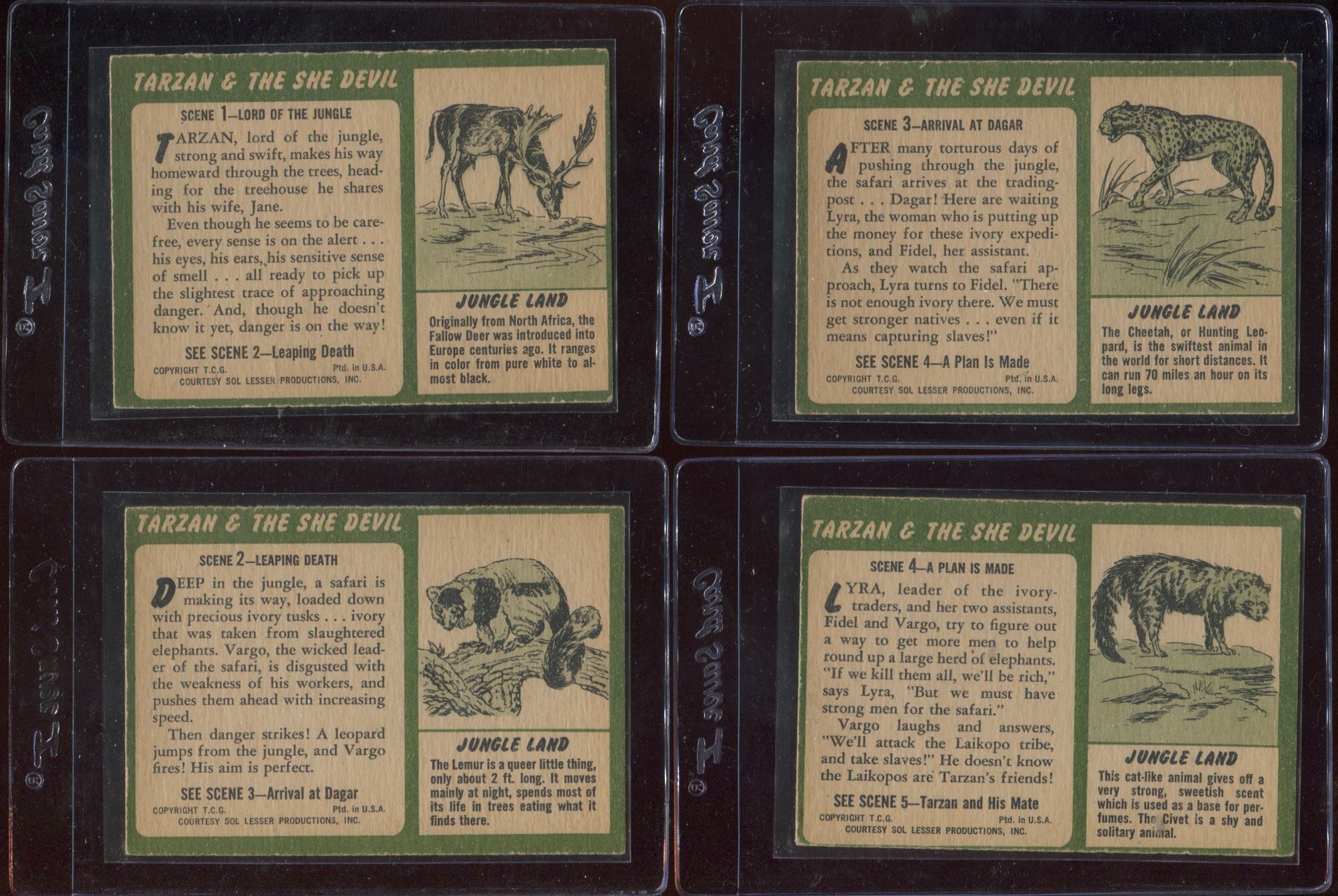 Lot Detail - 1953 Topps Tarzan and the She-Devil Complete Set (60) With  Extras