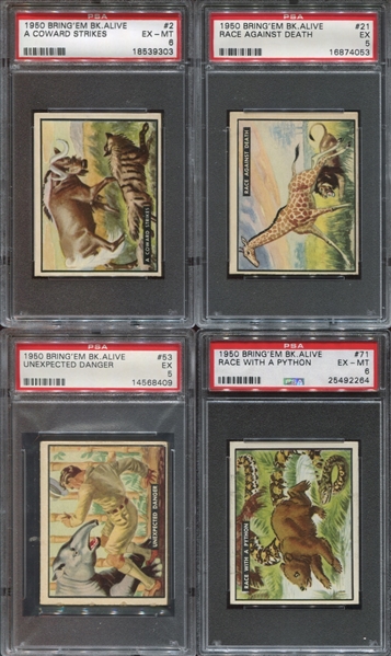 1950 Topps Bring 'Em Back Alive Complete Set of (100) with PSA-Graded and Extras
