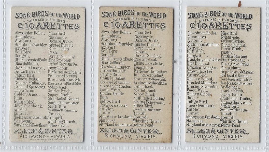 N23 Allen & Ginter Song Birds of the World Lot of (13) Cards