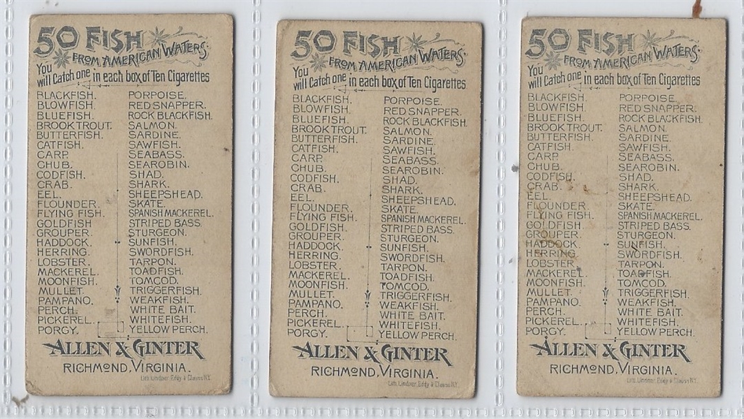 N8 Allen & Ginter Fish From American Waters Lot of (13) Cards