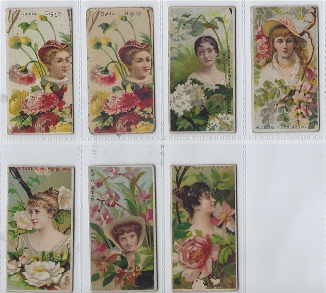 N75 Duke Tobacco Floral Beauties Lot of (17) Cards