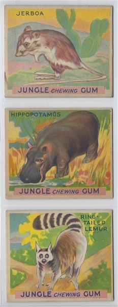 R78 World Wide Gum Jungle Gum Animals Complete set of (48)