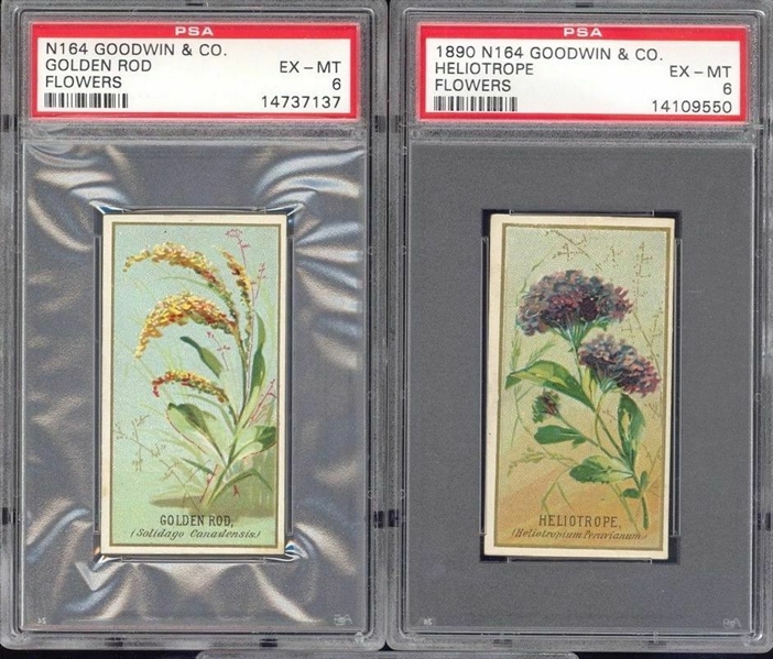 N164 Goodwin & Co Flowers Pair of PSA6 EX-MT Cards