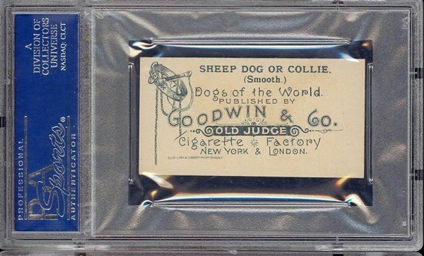N163 Goodwin & Co Dogs of the World - Sheep Dog PSA7 NM