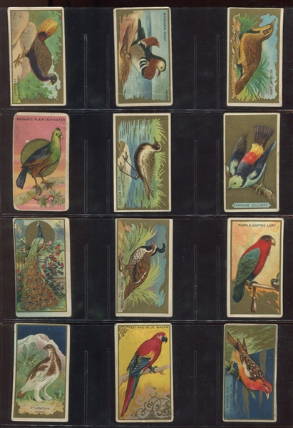 T42 Bird Series Complete Mixed-Back Set of (100) Cards