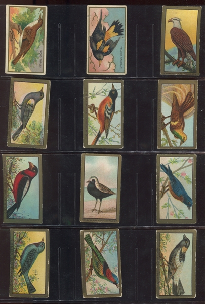T42 Bird Series Complete Mixed-Back Set of (100) Cards