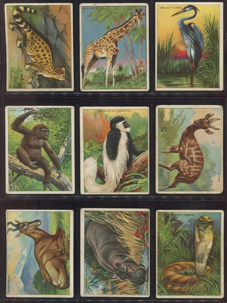 T29 Hassan Animals Complete Set of (80) Cards