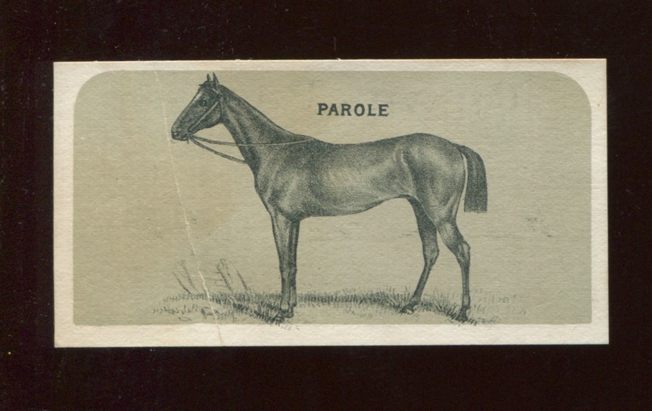 N168 Goodwin Tobacco Canvas Backs Horses Type Card - Parole
