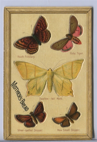 D-UNC Hauck-Hoerr Bakery Butterfly Diecut Type Card