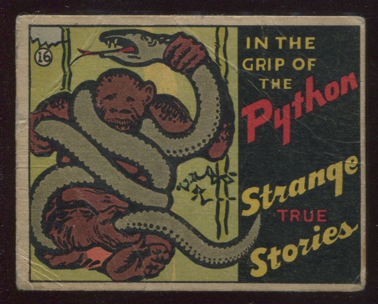 R144 Wolvering Gum Strange True Stories #16 In the Grip of the Python