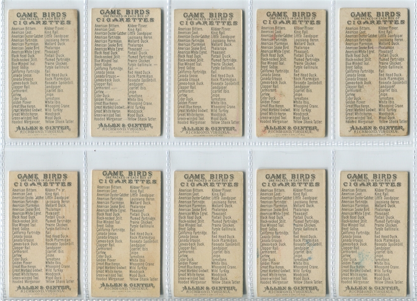 N13 Allen & Ginter Game Birds Complete Set of (50) Cards