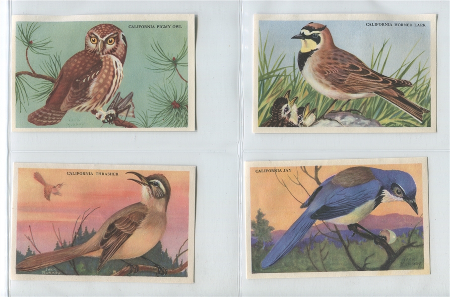 Kelloggs Bird Card Near Complete Set (20/24) Cards