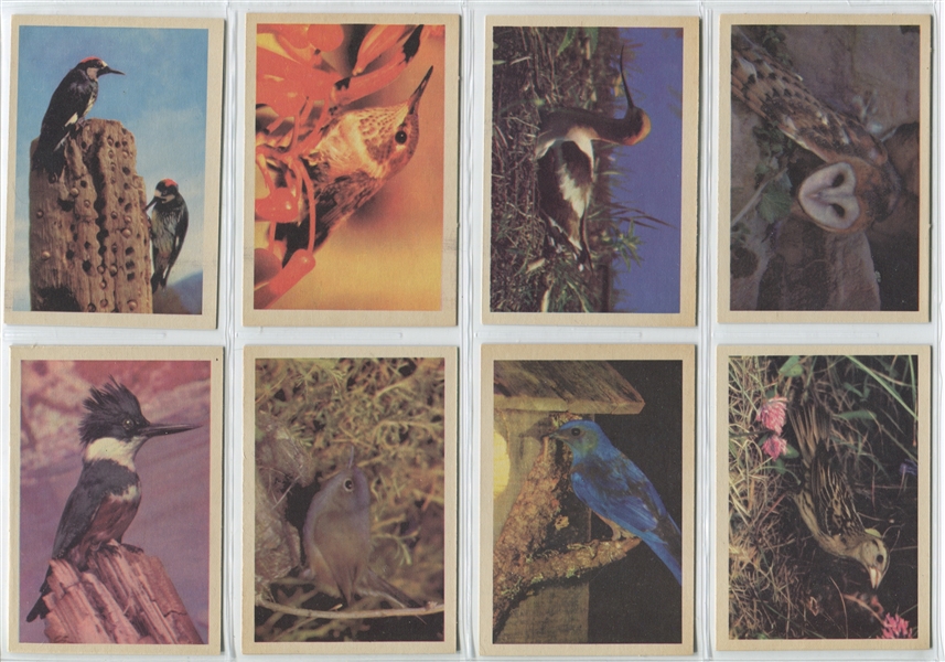 R724-2 Oak Premiere Trading Cards - Birds Complete Set of (42)