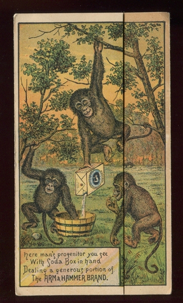 HM118 Arm & Hammer Metamorphic Monkey Brochure/Trade Card