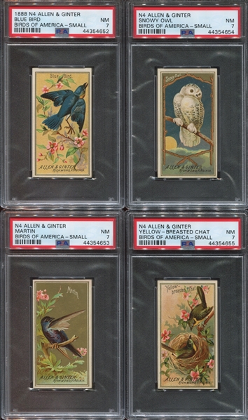 N4 Allen & Ginter Birds of America Lot of (5) PSA7 and PSA6 cards