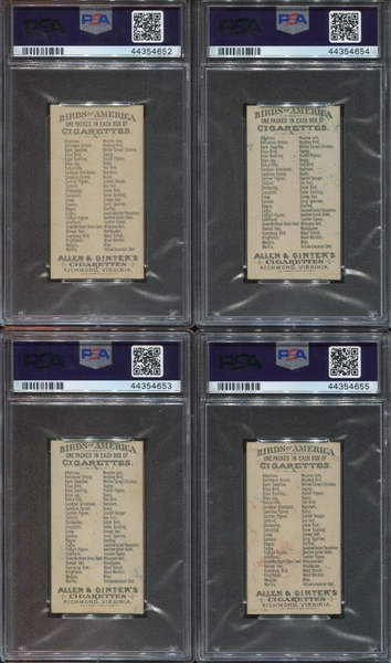 N4 Allen & Ginter Birds of America Lot of (5) PSA7 and PSA6 cards