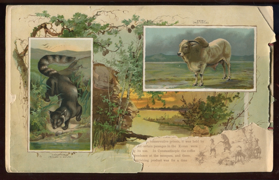 K17 Arbuckle's Illustrated Album of Natural History 