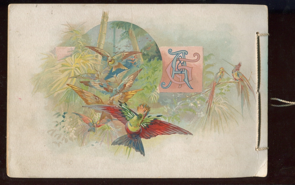 A4 Allen & Ginter Birds of the Tropics Album