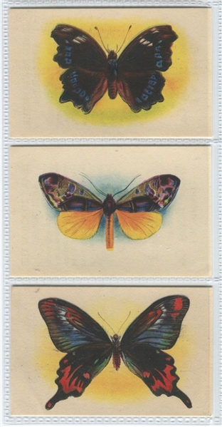 D20 Weber Baking Company Butterflies Lot of (3) Cards