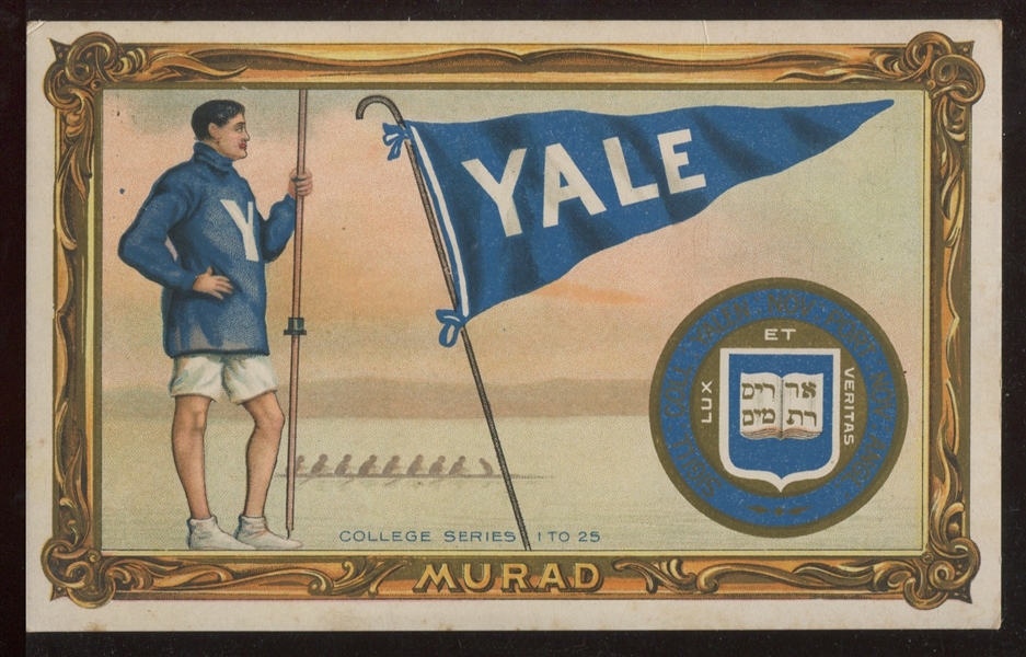 T6 Murad Cabinet - Yale - Rowing