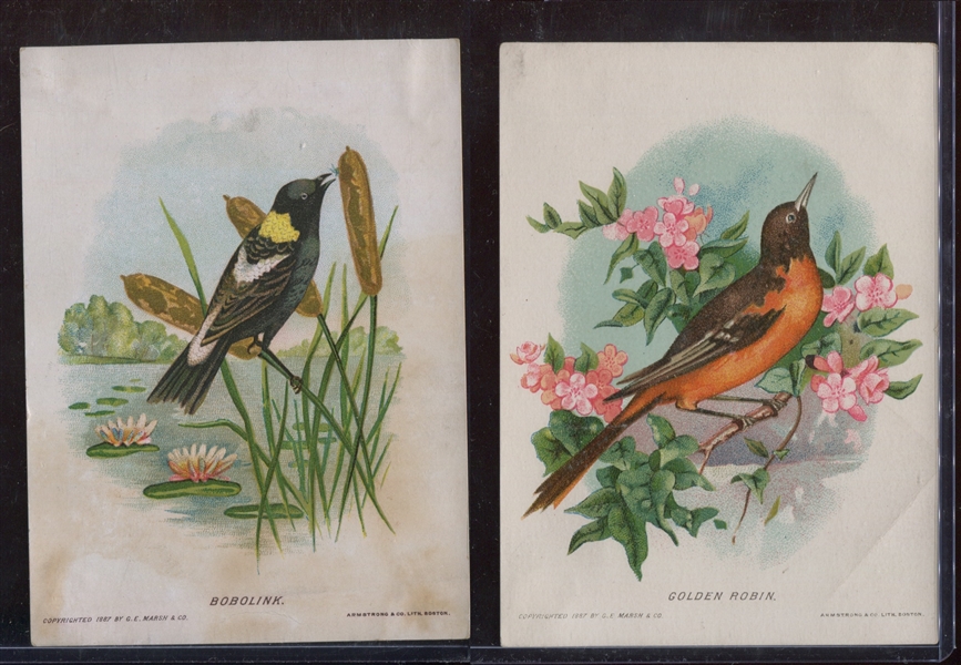 H689 Good-Will Soap New England Birds Lot of (3) Different Cards 