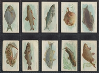 N8 Allen & Ginter Fish From American Waters Near Set (47/50) with (3) ATC cards 