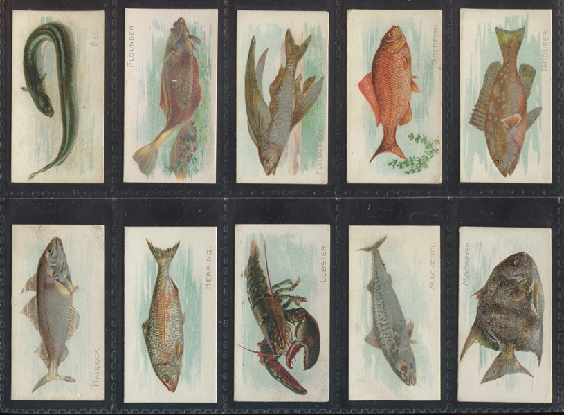 N8 Allen & Ginter Fish From American Waters Near Set (47/50) with (3) ATC cards 