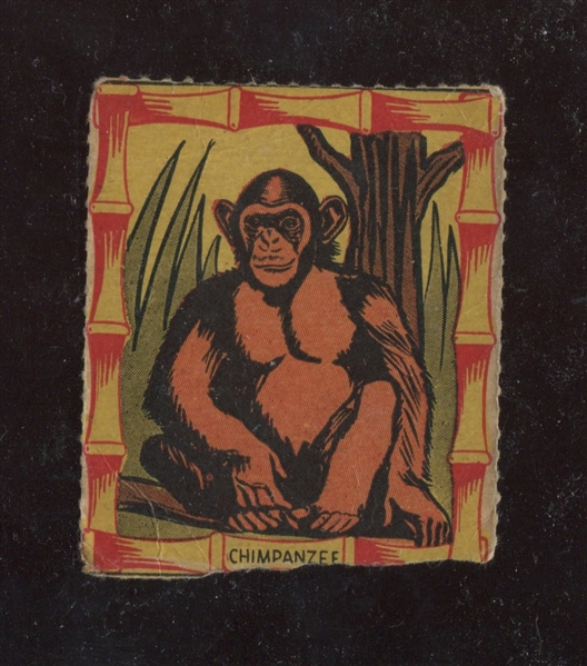 R722-1 Novel Package Jungle King Stories #9 Chimpanzee