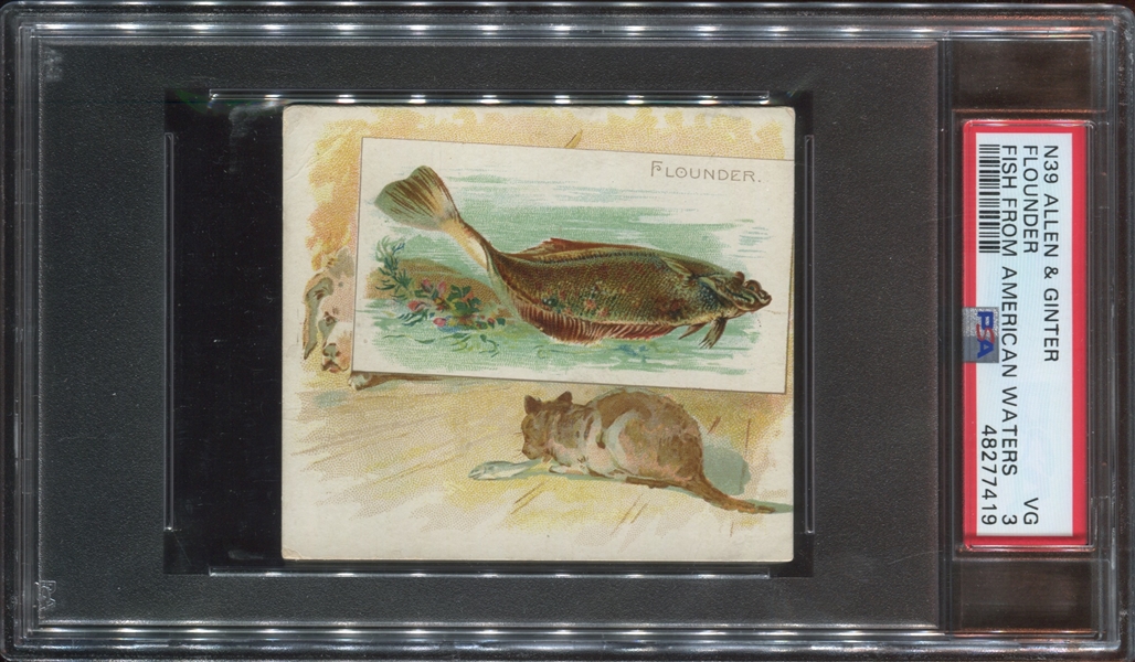 N39 Allen & Ginter Fish From American Waters - Flounder PSA3 VG