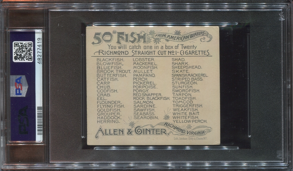 N39 Allen & Ginter Fish From American Waters - Seabass PSA3.5 VG+