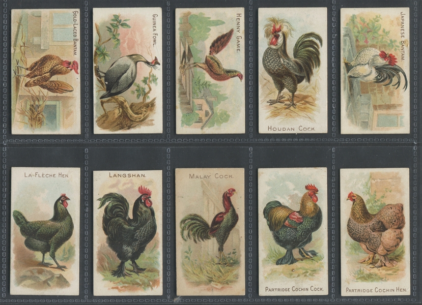 N20 Allen & Ginter Prize and Game Chickens Near Complete Set (49/50) Cards