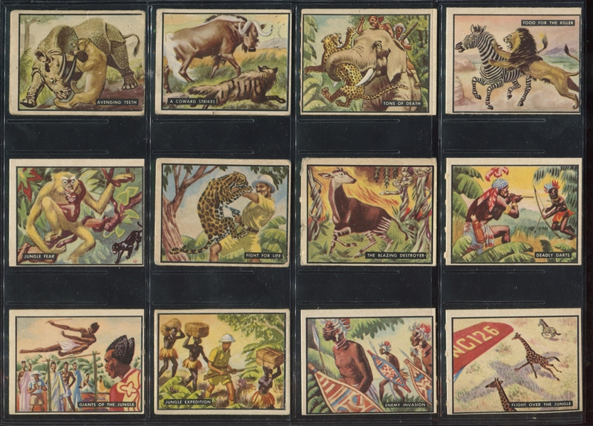 1950 Topps Bring 'Em Back Alive Complete Set of (100) Cards