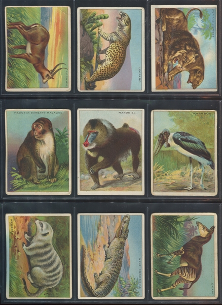 T29 Hassan Cigarettes Animals Complete Set of (80) Cards