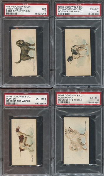 N163 Goodwin Old Judge Dogs of the World Complete PSA-Graded Set - #2 on PSA Registry