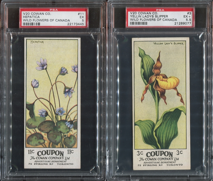 Mixed Lot of (4) Cowan's PSA-Graded Cards