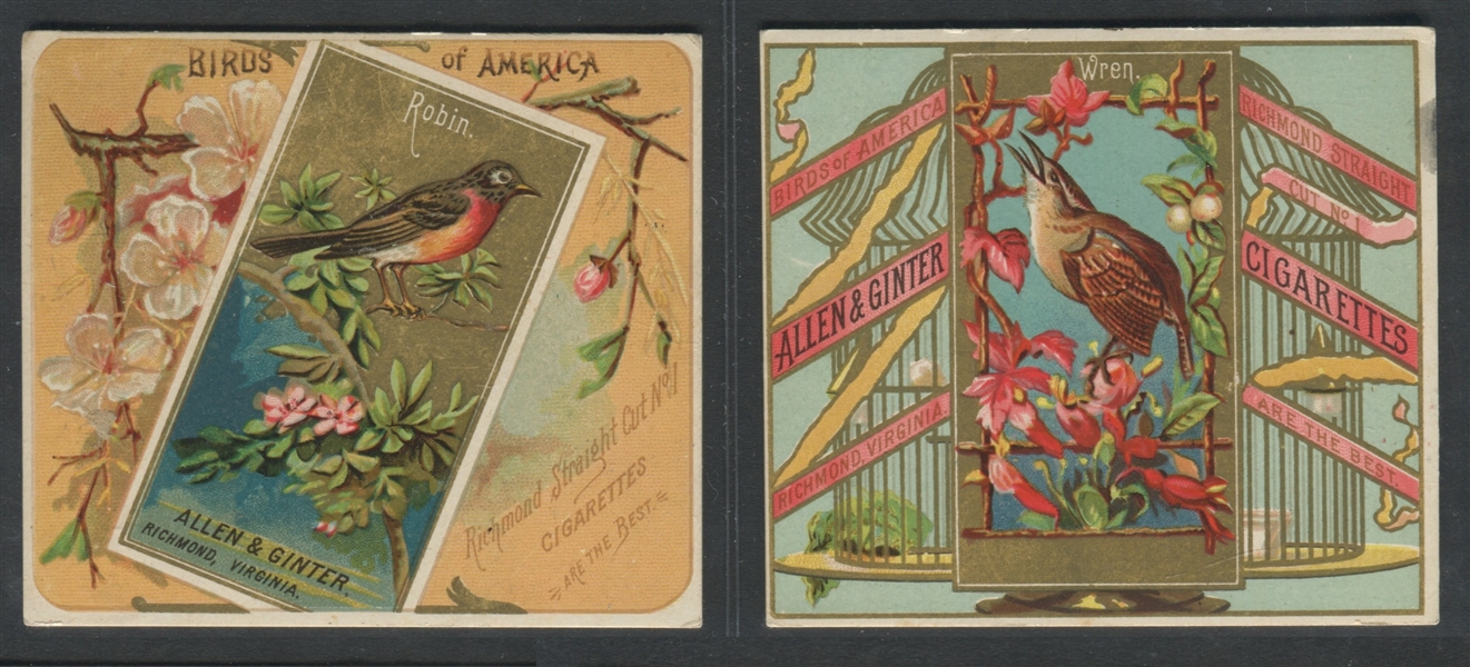 N37 Allen & Ginter Birds of America Lot of (3) Cards