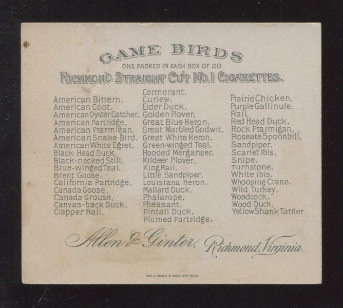 N40 Allen & Ginter Game Birds Turnstone
