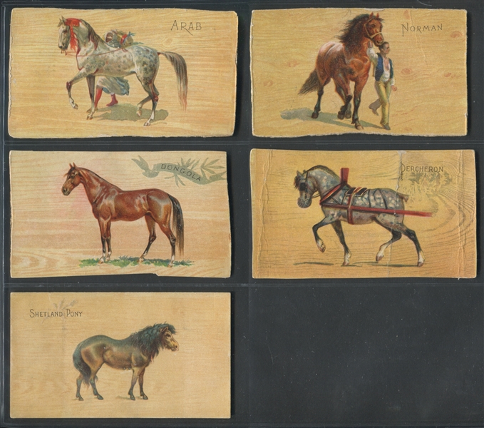N101 Duke Honest Long Cut Horses Lot of (5) Cards